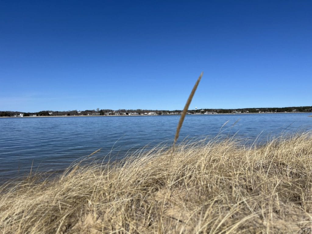 A view of the water from the beach.